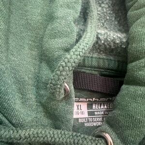Carhartt Men's Relaxed Zip-Up Hoodie in Sage Green